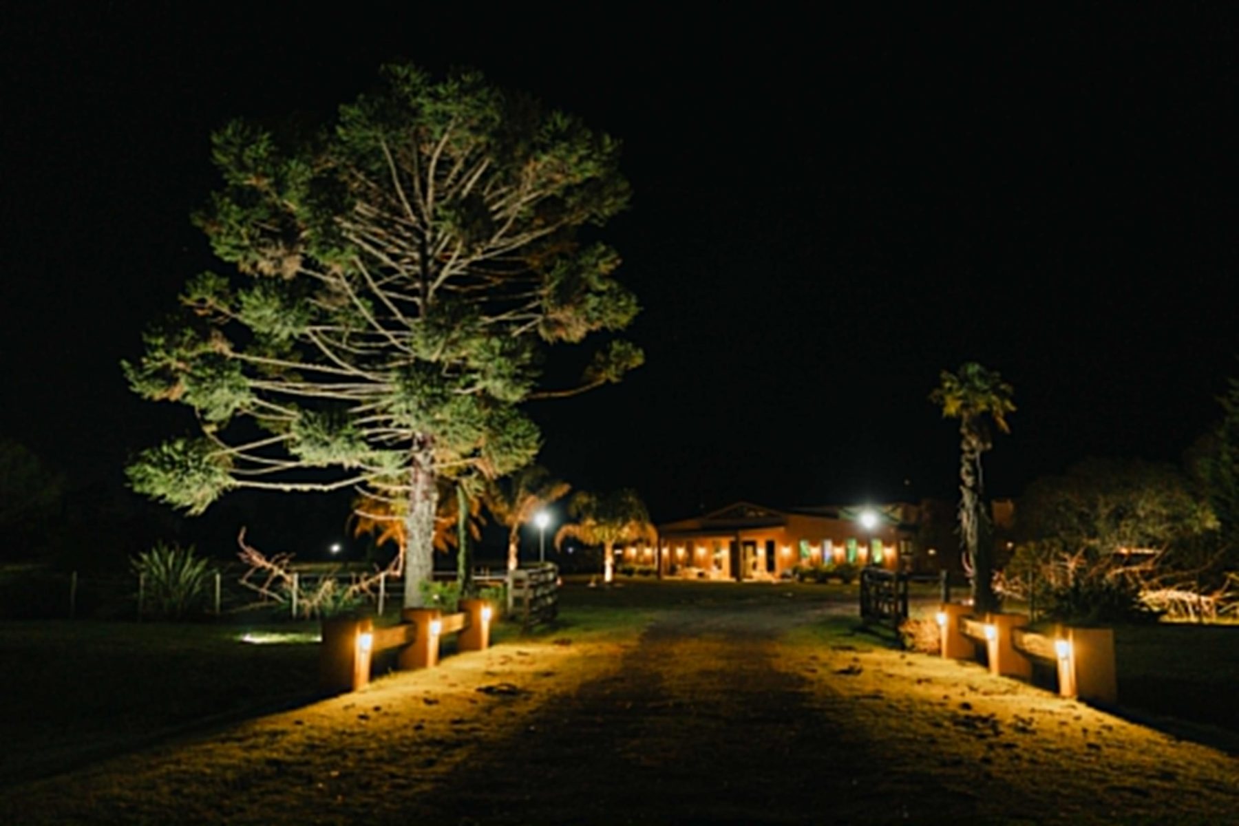 Acceso de La Araucaria iluminado de noche con la araucaria y el salón al fondo