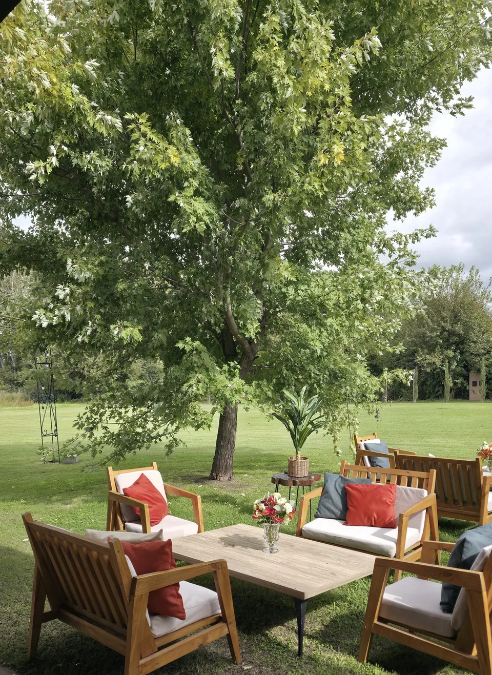 Living de madera y almohadones bajo un árbol del parque