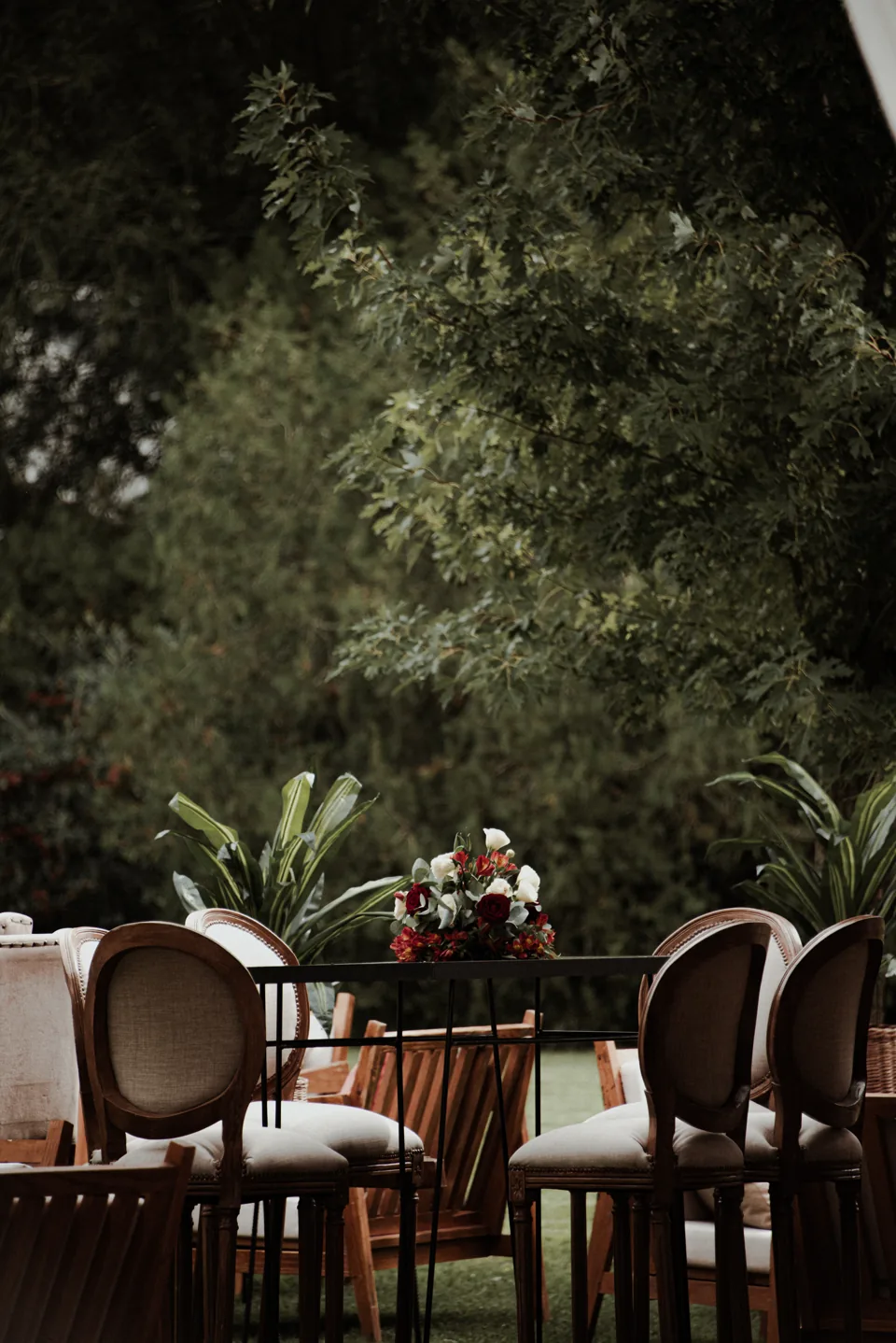 Mesa y sillas bajo los árboles del jardín de La Araucaria